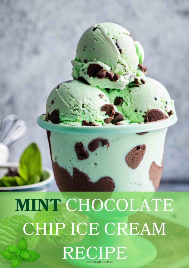 Mint Chocolate Chip Ice Cream Recipe