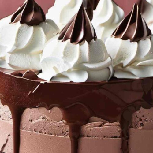 Chocolate Ice Cream Cake