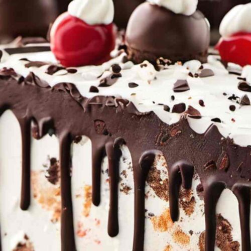 Cold Stone Ice Cream Cake Recipe