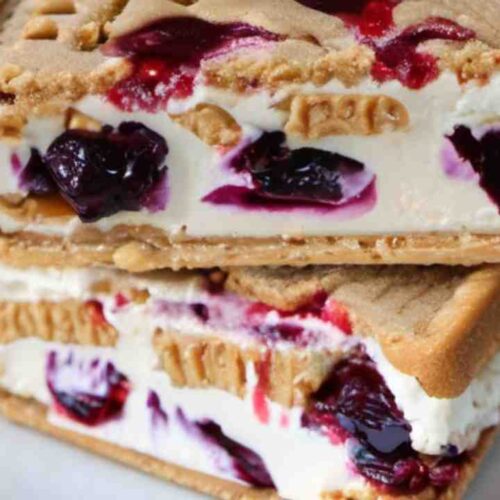 Peanut Butter And Jelly Ice Cream Sandwich Recipe